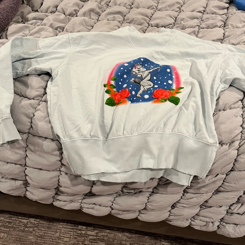 Boys Lie Light Blue Sweater with Angel & Rose Design